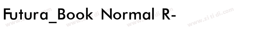 Futura_Book Normal R字体转换